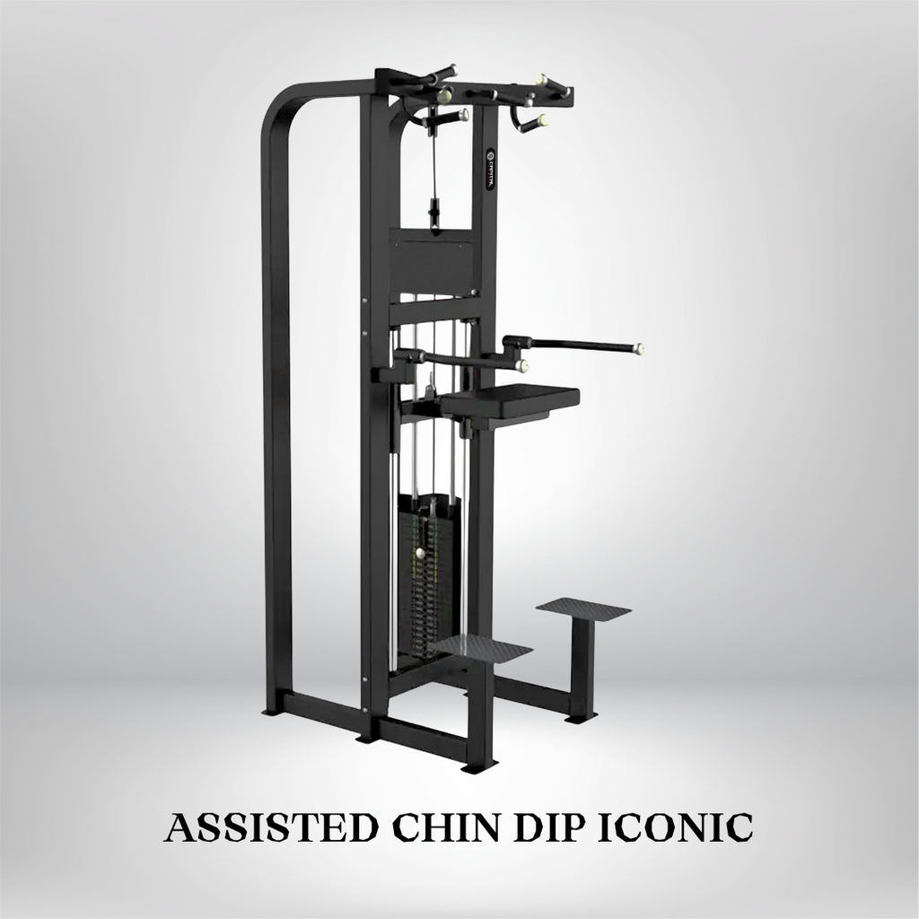 Assisted Chin Dip Iconic