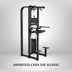 Assisted Chin Dip Iconic