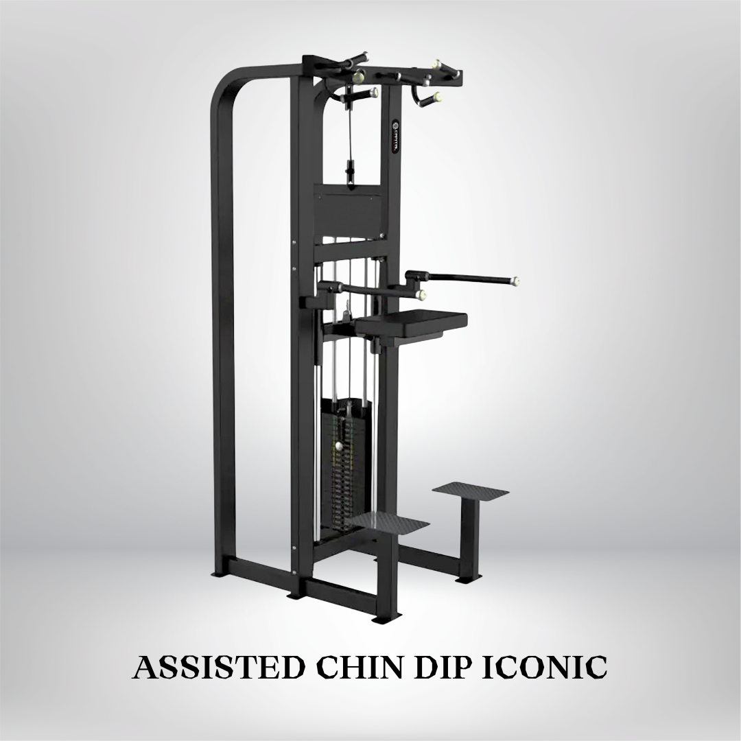 Assisted Chin Dip Iconic
