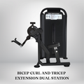 Bicep Curl And Tricep Extension Dual Station Astra series