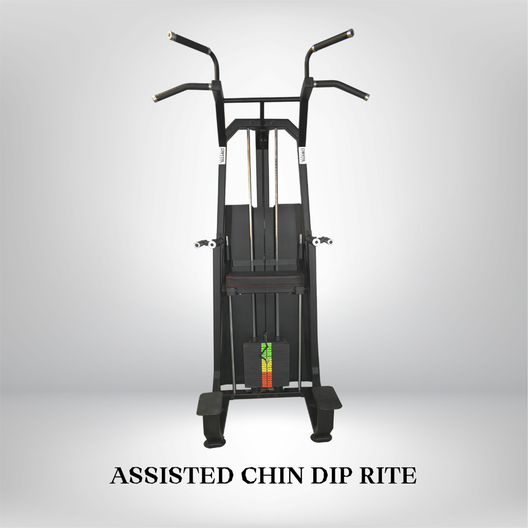 Assisted Chin Dip Rite