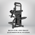 Bicep Curl And Tricep Extension Dual Station Magna series
