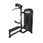 Lat Pull Down Dual Pulley Single Station