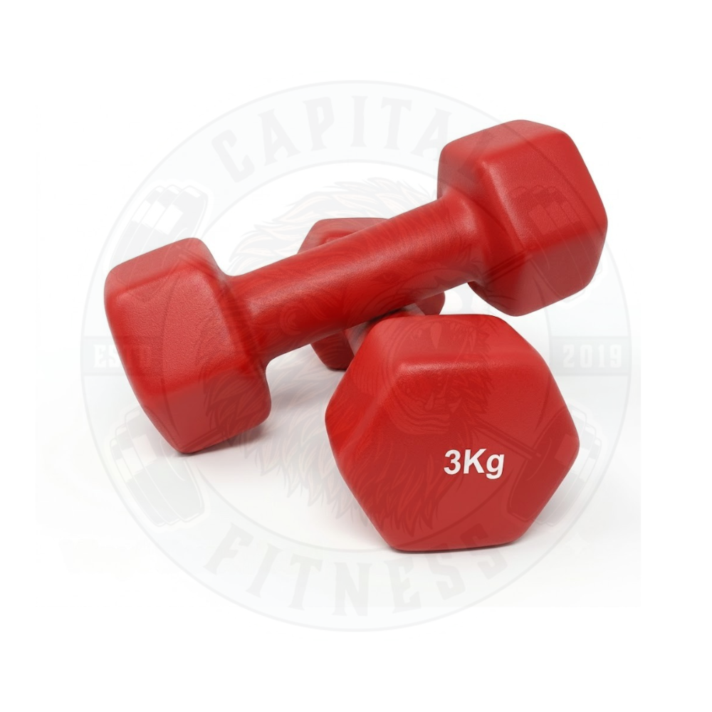 Best Vinyl Dumbbell