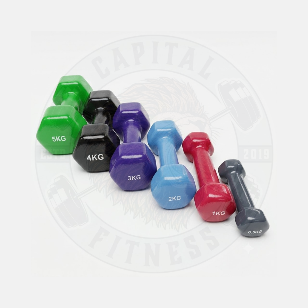 Best Vinyl Dumbbell