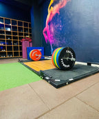 Coloured Bumper Plates
