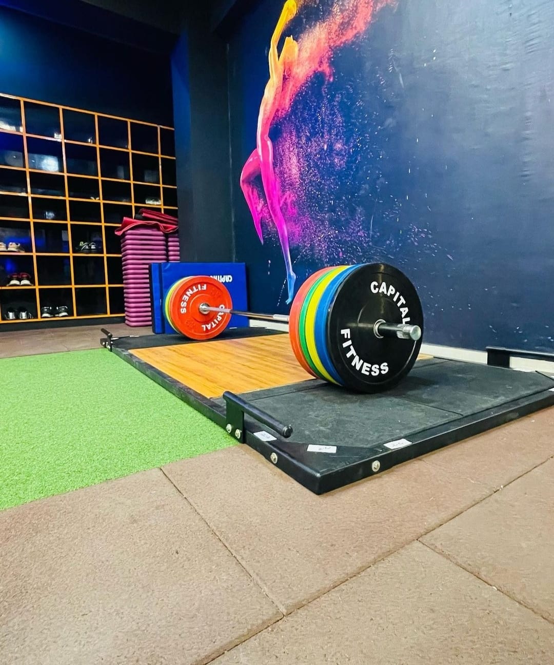 Coloured Bumper Plates