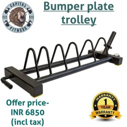 Bumper trolley